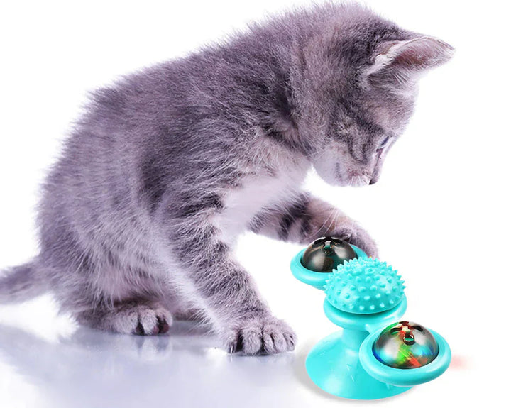 Graues Kätzchen spielt mit blauem interaktivem Katzenspielzeug, Kunststoff, Stimulation.