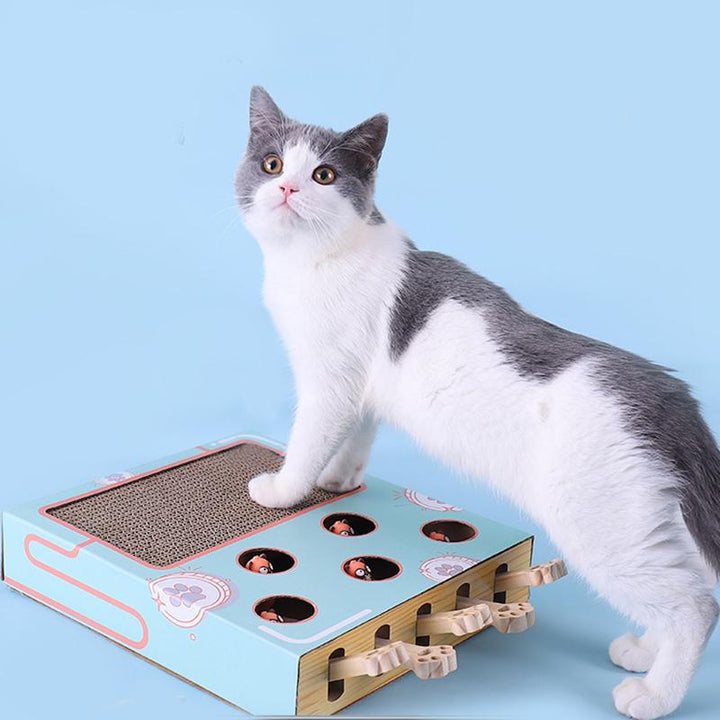 Weiß-graue Katze mit interaktivem Spielzeug aus Pappe, Kratzbrett, blau, auf blauem Hintergrund.