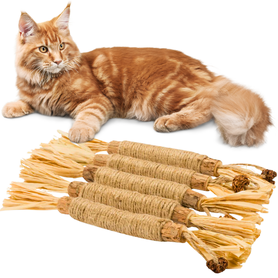 Roter Maine Coon-Katze mit vier Sisal-Katzenspielzeugen, ideal für Krallenpflege und Spiel.