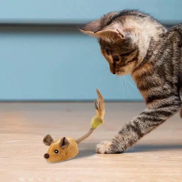 Katze spielt mit braunem Plüschmaus-Spielzeug auf Holzboden vor blauer Wand.