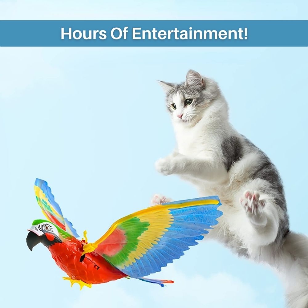 Katze spielt mit buntem, fliegendem Papagei-Spielzeug, Unterhaltung für Haustiere.