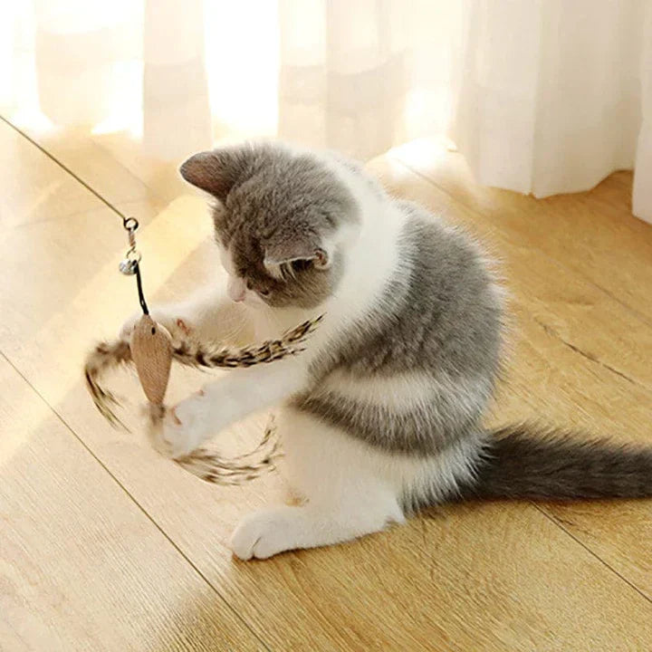 Graue und weiße Katze spielt mit Katzenspielzeug auf Holzboden.