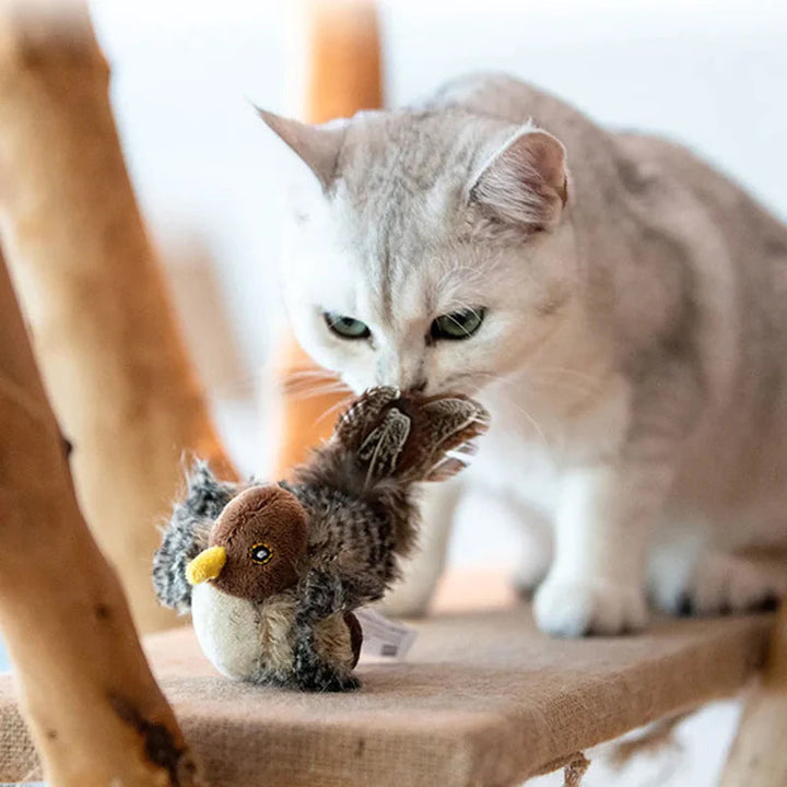 Graue Katze spielt mit braunem Vogelspielzeug auf Kratzbaum, Haustierbedarf, Katzenspielzeug.