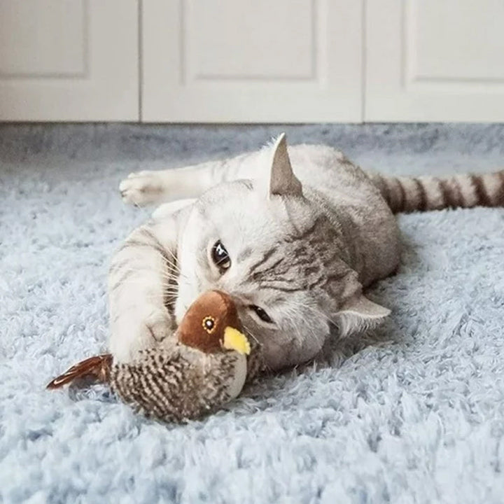 Graue Katze spielt mit Plüschvogel auf blauem Teppich, Haustier, Spielzeug, niedlich, Wohnzimmer.