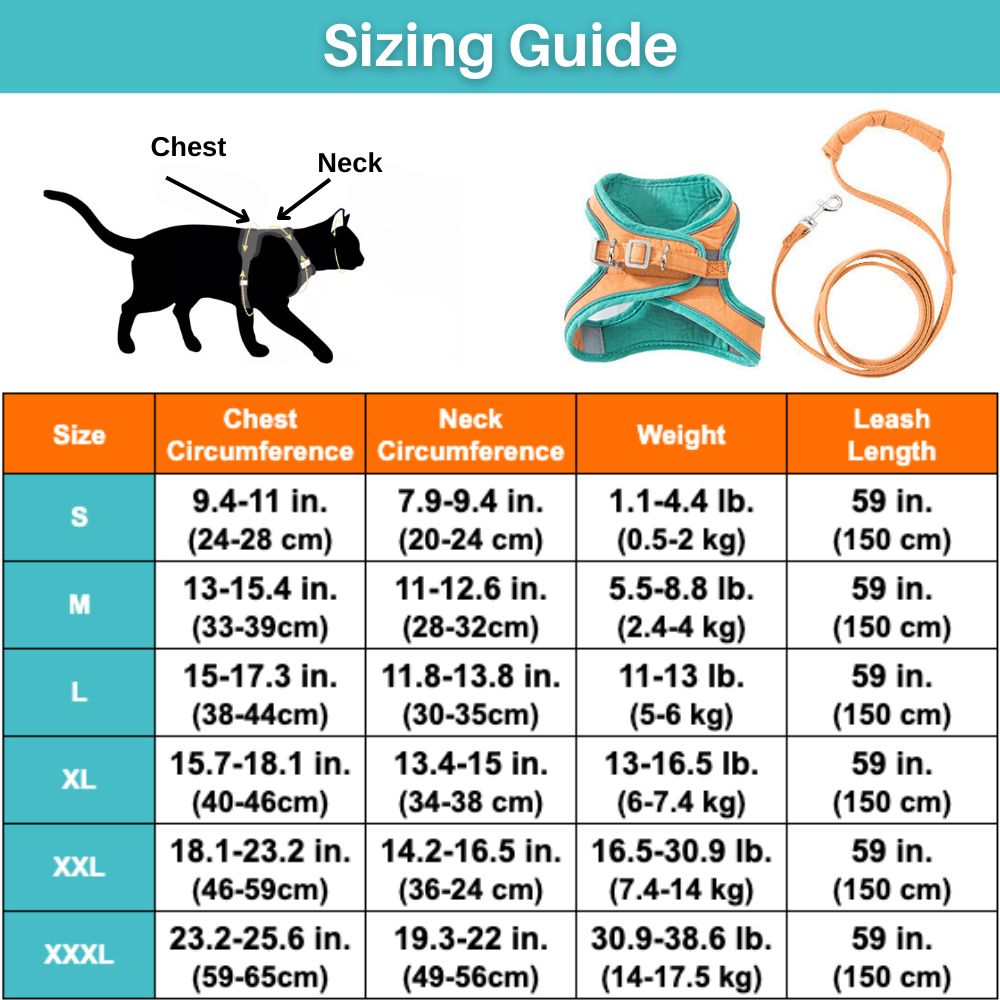 Orange Katzengeschirr und Leine Set, verstellbar, atmungsaktiv, für Spaziergänge.