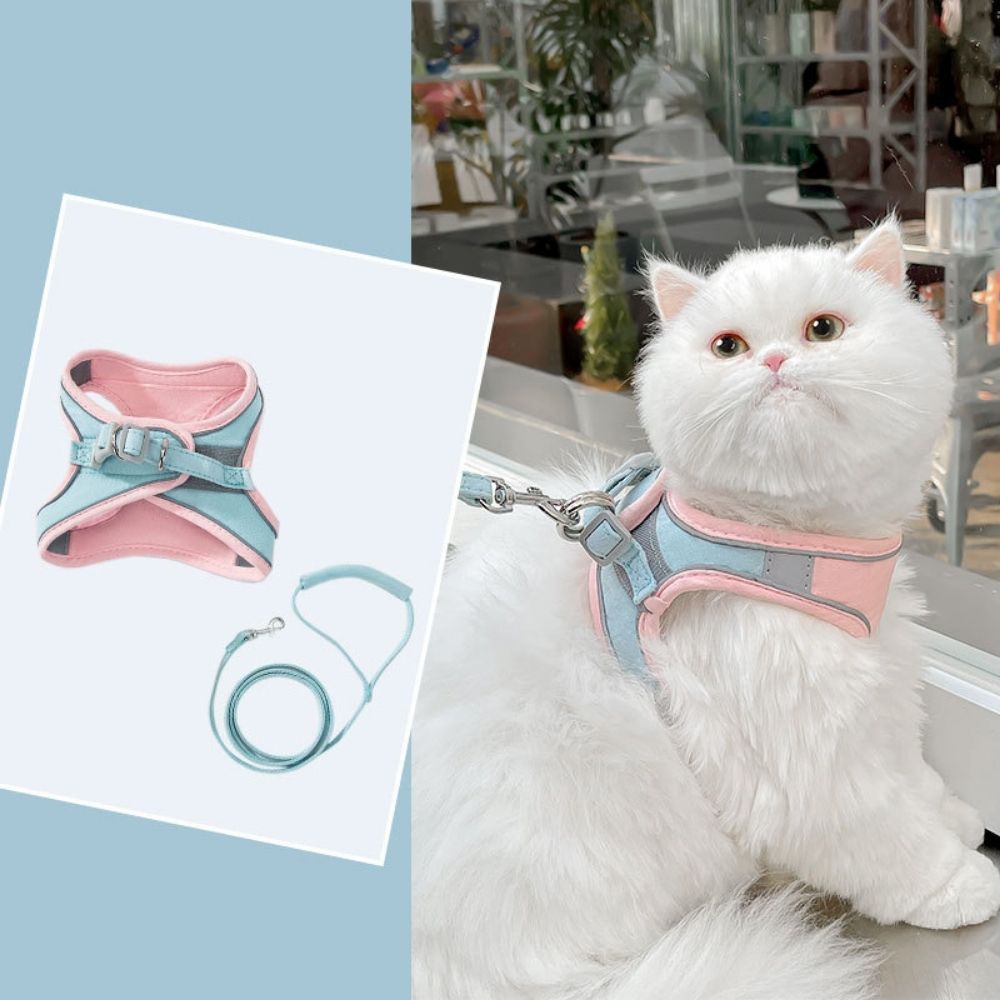 Weiße Katze mit rosa-blauem Katzengeschirr und Leine, bequemes Haustierzubehör.