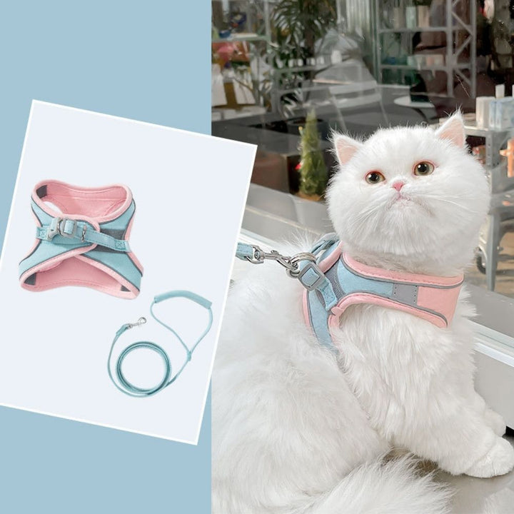 Weiße Katze mit rosa-blauem Katzengeschirr und Leine, bequemes Haustierzubehör.