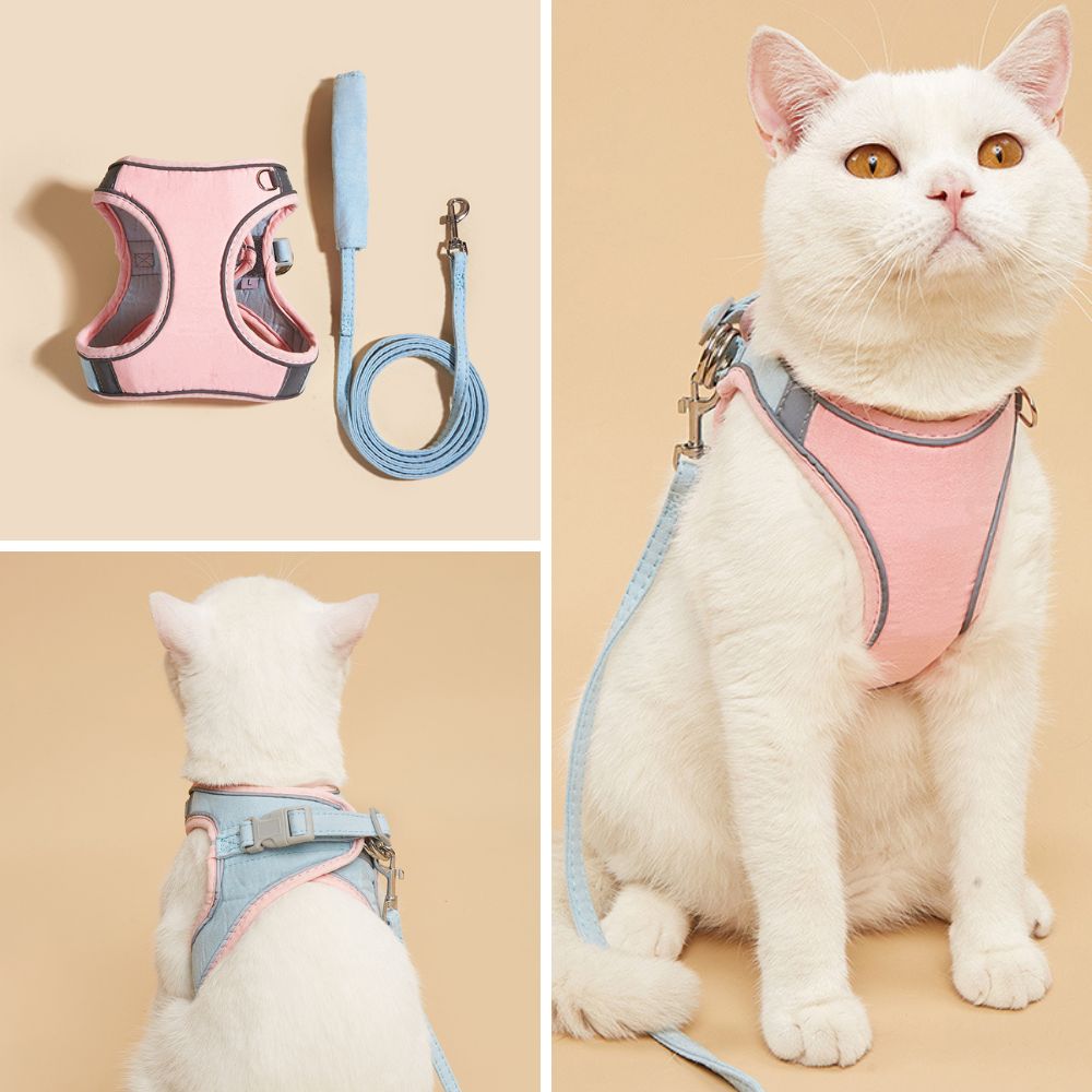 Katzen-Geschirr und Leine Set, rosa und blau, sicher und bequem, für Spaziergänge mit Katzen.