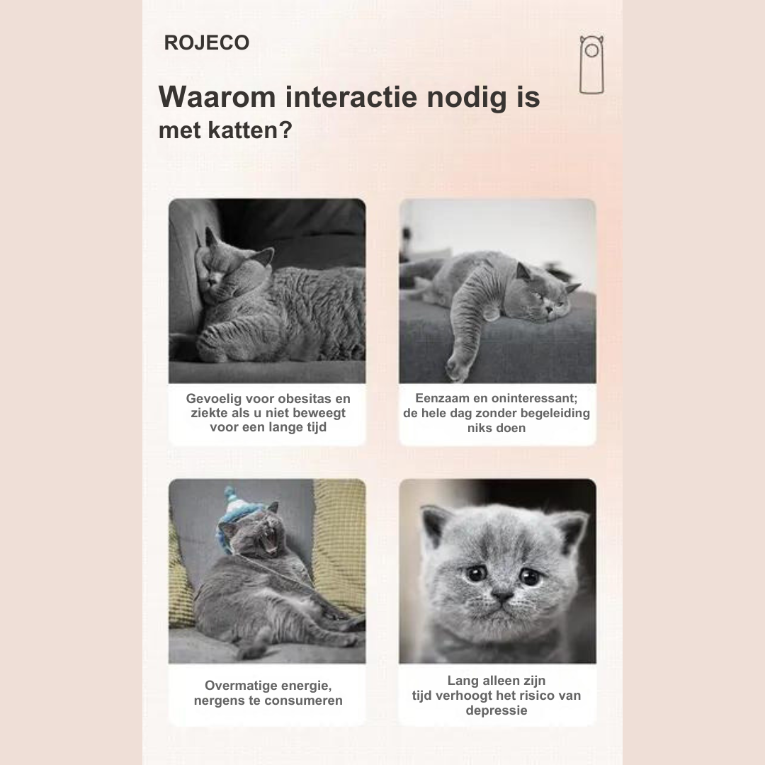 Vier Katzenbilder mit Text über die Notwendigkeit der Interaktion mit Katzen.