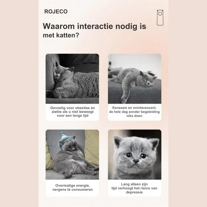 Vier Katzenbilder mit Text über die Notwendigkeit der Interaktion mit Katzen.