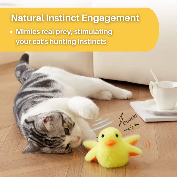 Katze spielt mit gelbem Plüschspielzeug-Ente, interaktives Katzenspielzeug, Jagdinstinkt.