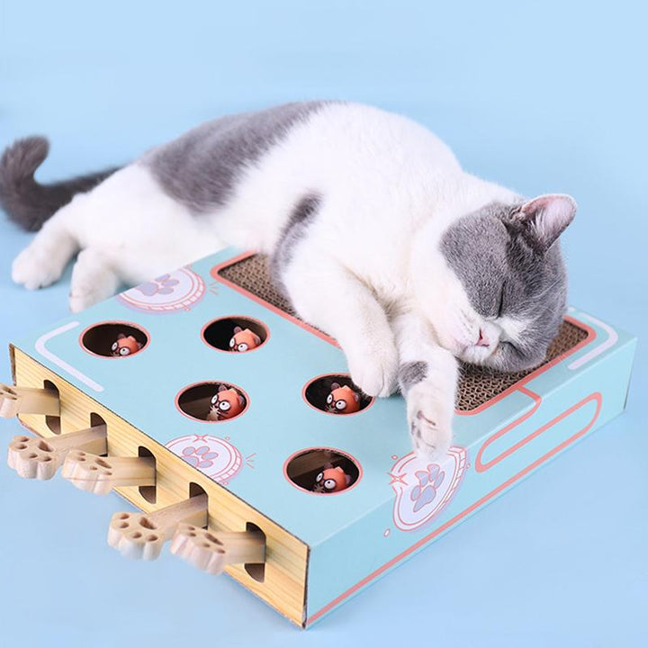 Schlafende Katze auf interaktivem Spielzeug, blau, mit Löchern und Kratzfläche, für Katzen.