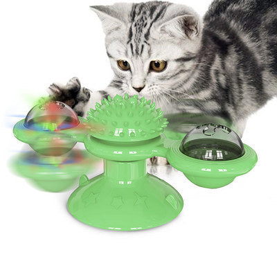 Graues Kätzchen spielt mit grünem interaktivem Katzenspielzeug mit rotierenden Kugeln.