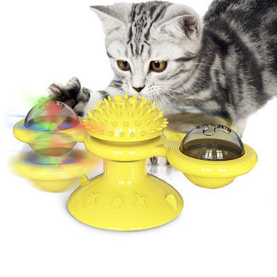 Graues Kätzchen spielt mit gelbem interaktivem Katzenspielzeug mit rotierenden Kugeln.