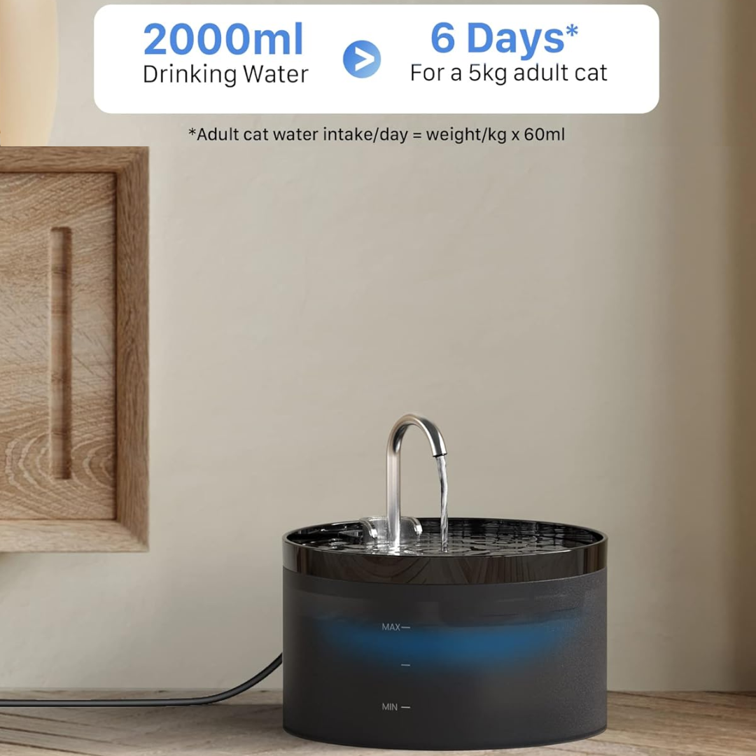 Schwarzer Katzenbrunnen 2000ml, automatischer Wasserspender, leise Pumpe, Haustierbedarf.