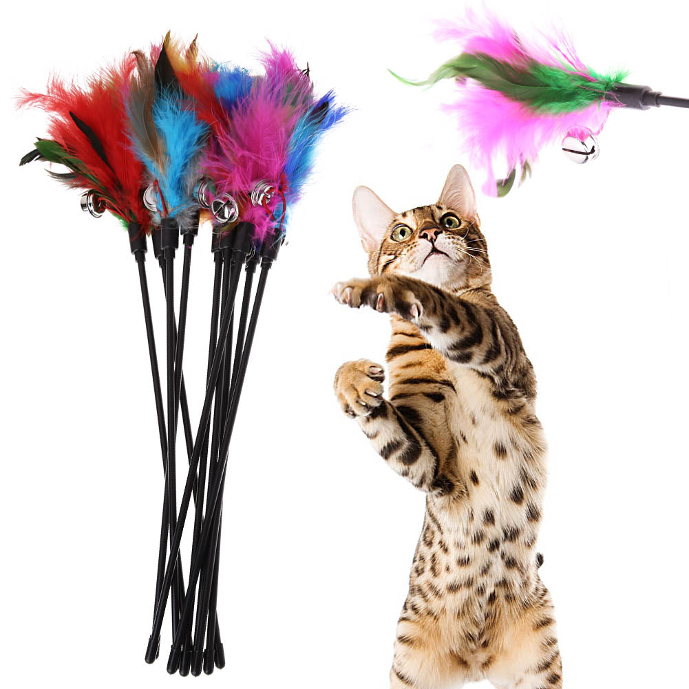Katzenspielzeug mit bunten Federn und Glöckchen, interaktiver Spielstab für Katzen.