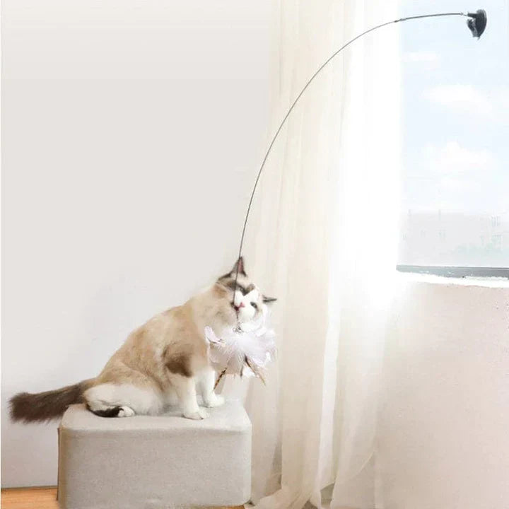 Katze spielt mit interaktivem Katzenspielzeug am Fenster, Federangel, beige, Unterhaltung.