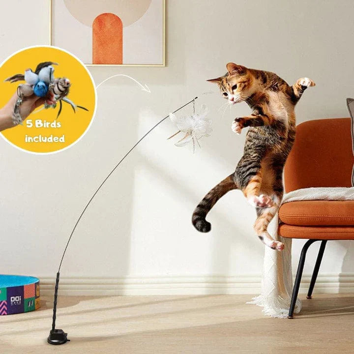 Katzenspielzeug mit Federangel, springende Katze, interaktives Spiel, 5 Vögel inklusive.