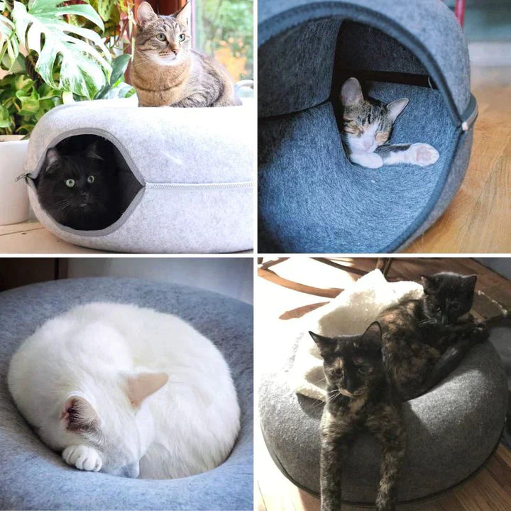 Katzenbett aus Filz, grau, mit Katzen, gemütlich, rund, Schlafplatz für Haustiere, modern.