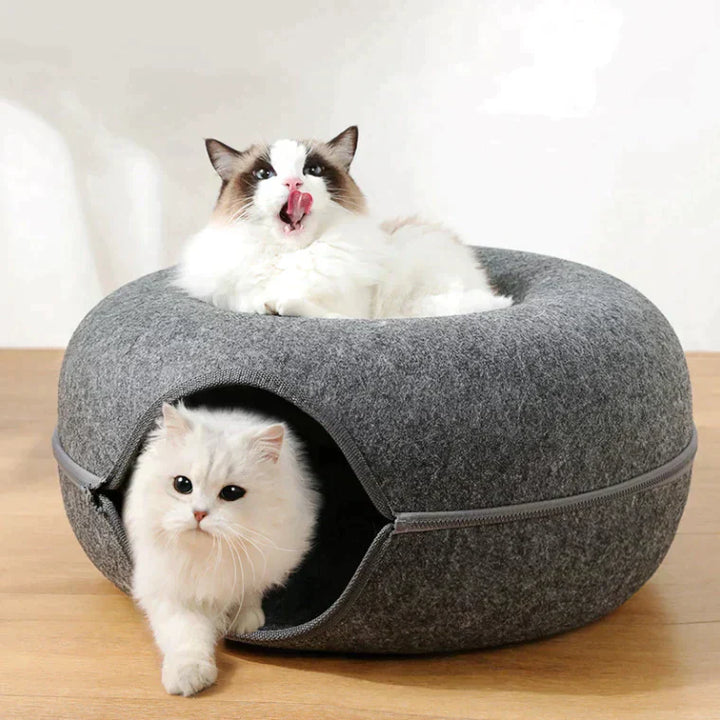 Zwei Katzen in grauem Filz-Katzenbett mit Reißverschluss, gemütlich, modern, Haustierbedarf.