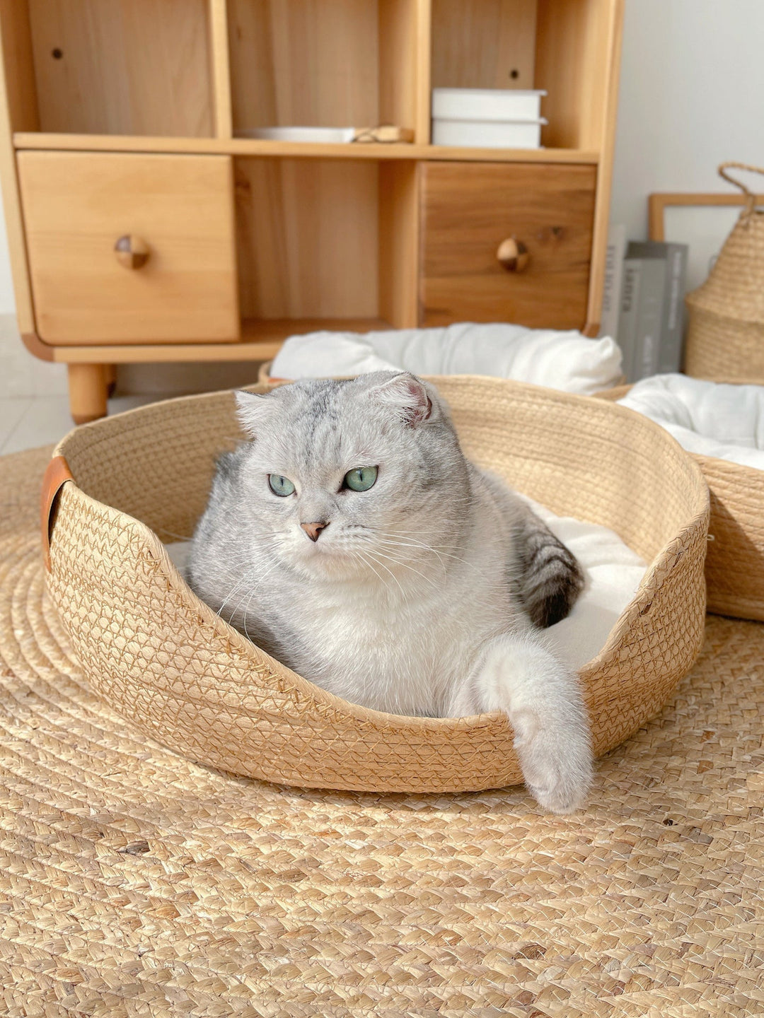Graue Katze in geflochtenem Katzenbett auf Teppich vor Holzregal, gemütliches Wohnzimmer.
