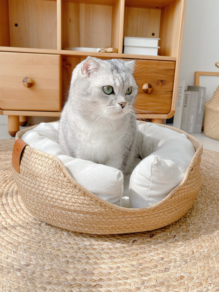 Grauer Katze im runden, geflochtenen Katzenbett auf Teppich vor Holzkommode.