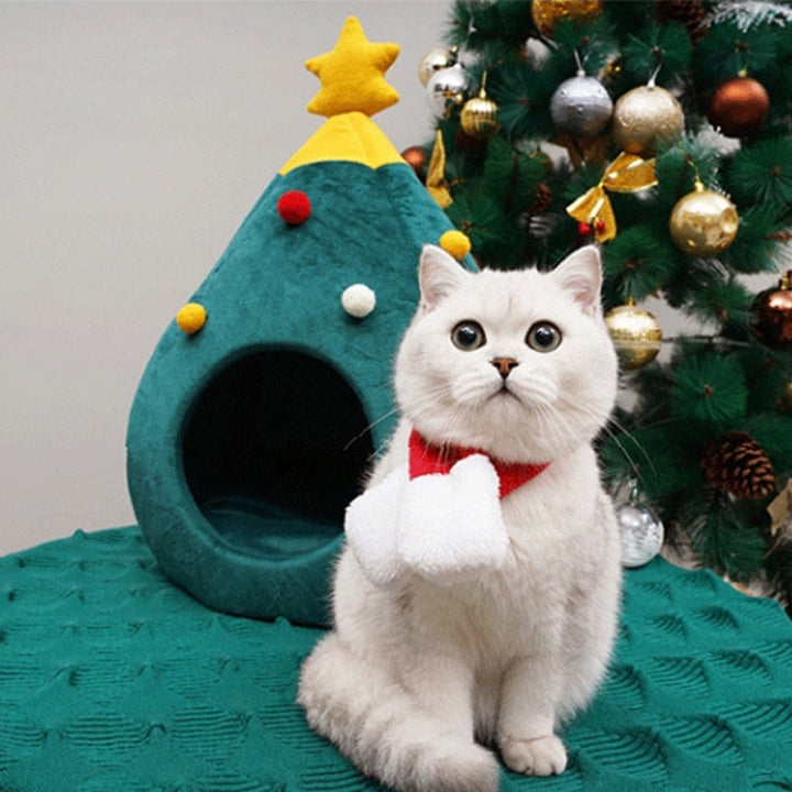 Weißer Katze mit rotem Schal vor grünem Weihnachtsbaum-Katzenbett, Weihnachtsdekoration.