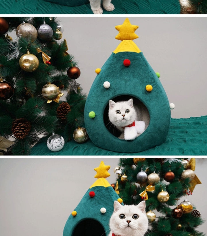 Weiße Katze in grünem Weihnachtsbaum-Katzenbett neben geschmücktem Weihnachtsbaum.