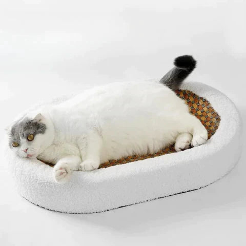 Weißes Katzenbett aus Plüsch mit geflochtener Liegefläche, gemütlich und stilvoll.