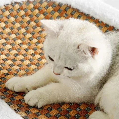 Weiße Katze auf geflochtenem Katzenbett, gemütlich, Haustierbedarf, Katzenzubehör.