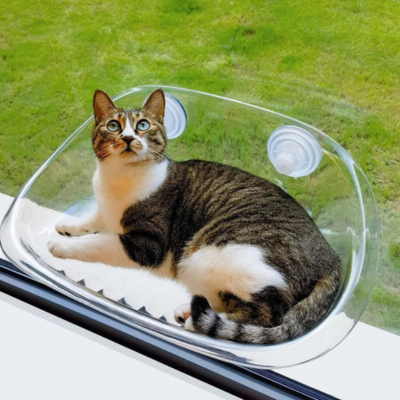 Katze auf durchsichtigem Fensterbett, Saugnäpfe, gemütlich, Haustierliege, Fensterbank.