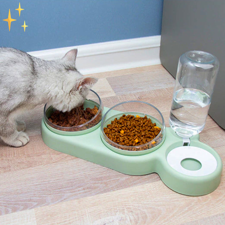 Graue Katze frisst aus grünem Futternapf mit Wasserspender auf Holzboden.