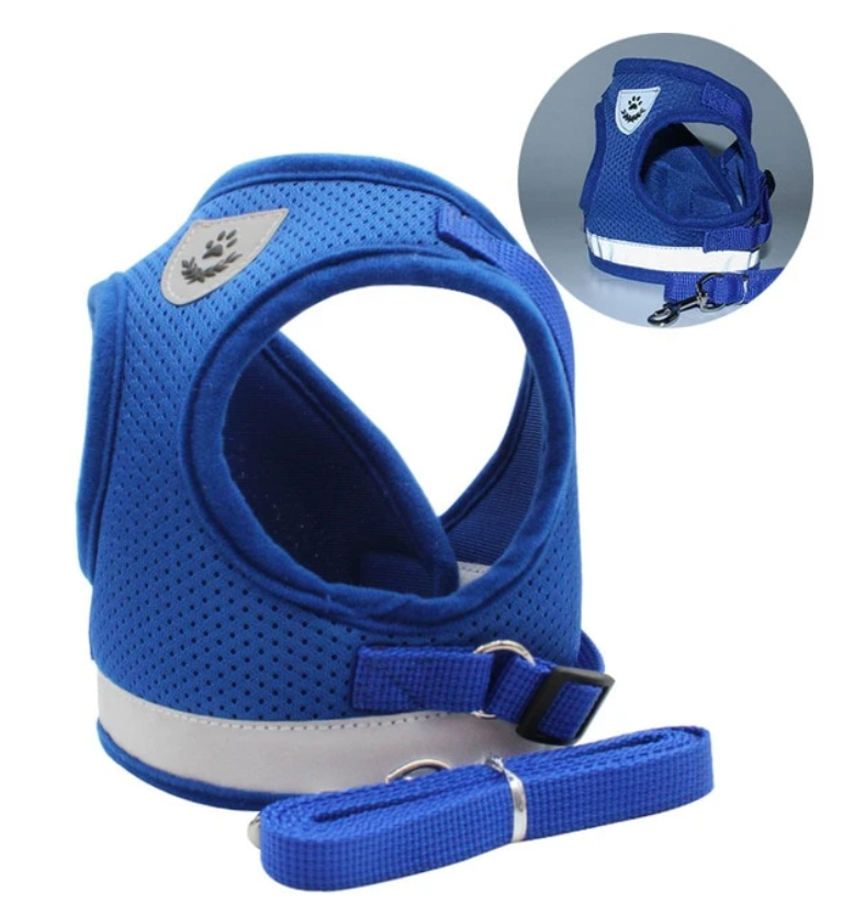 Blaues Katzengeschirr mit Leine, atmungsaktiv, verstellbar, für Spaziergänge.
