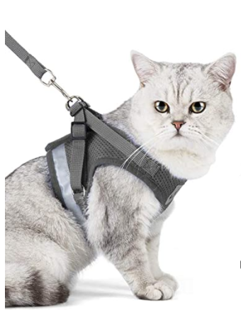 Graues Katzengeschirr mit Leine, atmungsaktiv, verstellbar, für Spaziergänge.