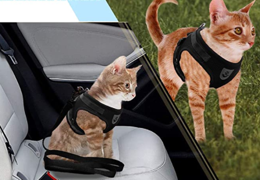 Schwarzes Katzengeschirr, verstellbar, sicher, für Spaziergänge und Autofahrten geeignet.