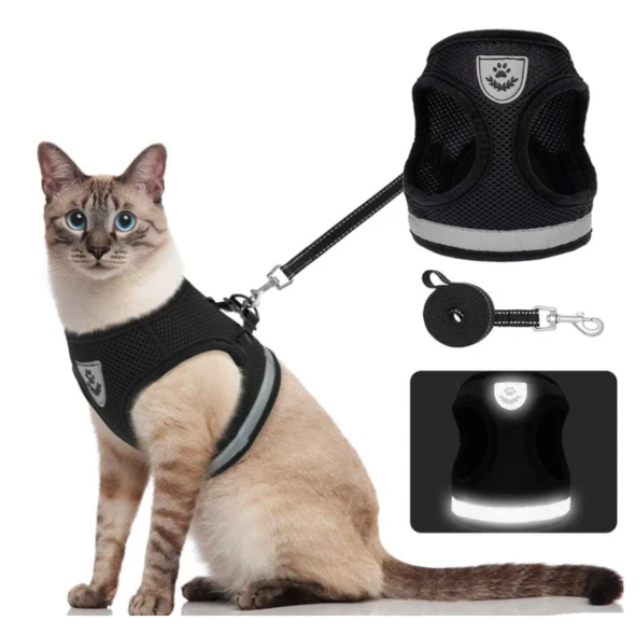 Katzengeschirr Set, schwarz, reflektierend, mit Leine, für Spaziergänge, sicher und bequem.