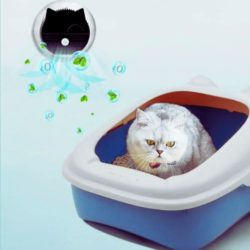 Graue Katze in blauer Katzentoilette mit Luftreiniger, geruchsfrei, hygienisch, Haustierbedarf.