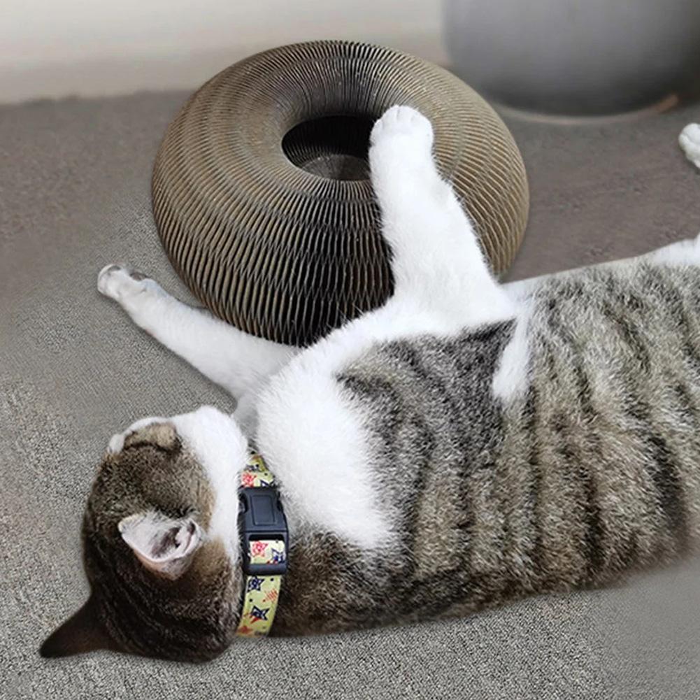 Katze spielt mit braunem, rundem Kratzspielzeug aus Pappe auf Teppichboden.
