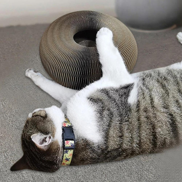 Katze spielt mit braunem, rundem Kratzspielzeug aus Pappe auf Teppichboden.