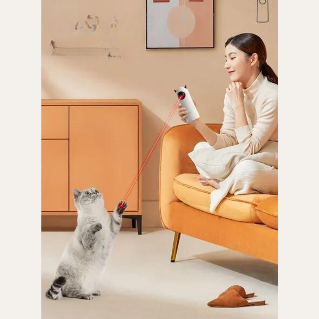 Frau spielt mit Katze und Laserpointer im Wohnzimmer, orangefarbenes Sofa, moderne Einrichtung.