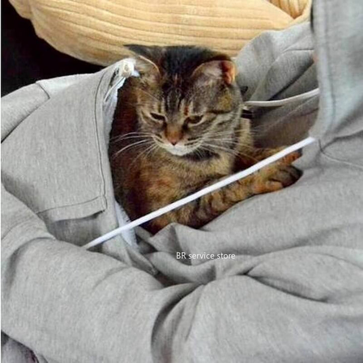 Katze in grauem Kapuzenpullover, gemütlich, ideal für Kuschelmomente, Haustierbekleidung.