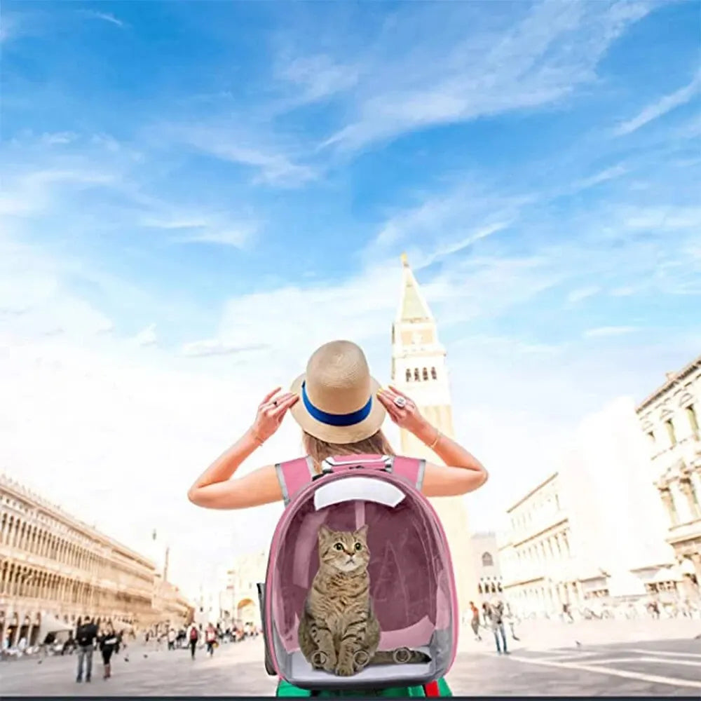Frau mit Strohhut und rosa Katzenrucksack vor dem Markusplatz in Venedig, blauer Himmel.