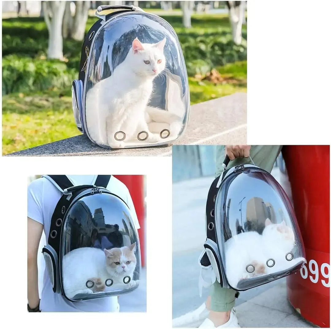 Transparenter Katzenrucksack, tragbar, Belüftungslöcher, Haustierträger, Outdoor, Reisen.