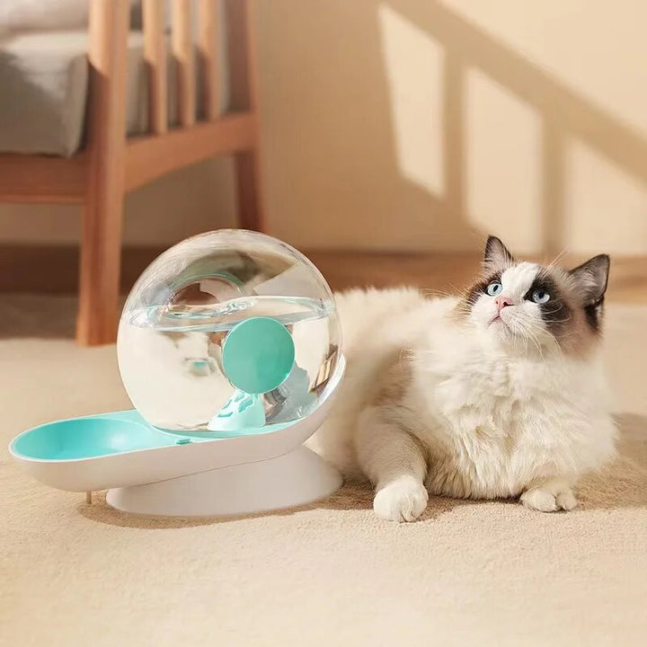 Automatische Katzenwasserfontäne mit Filter, türkis-weiß, neben flauschiger Katze auf Teppich.