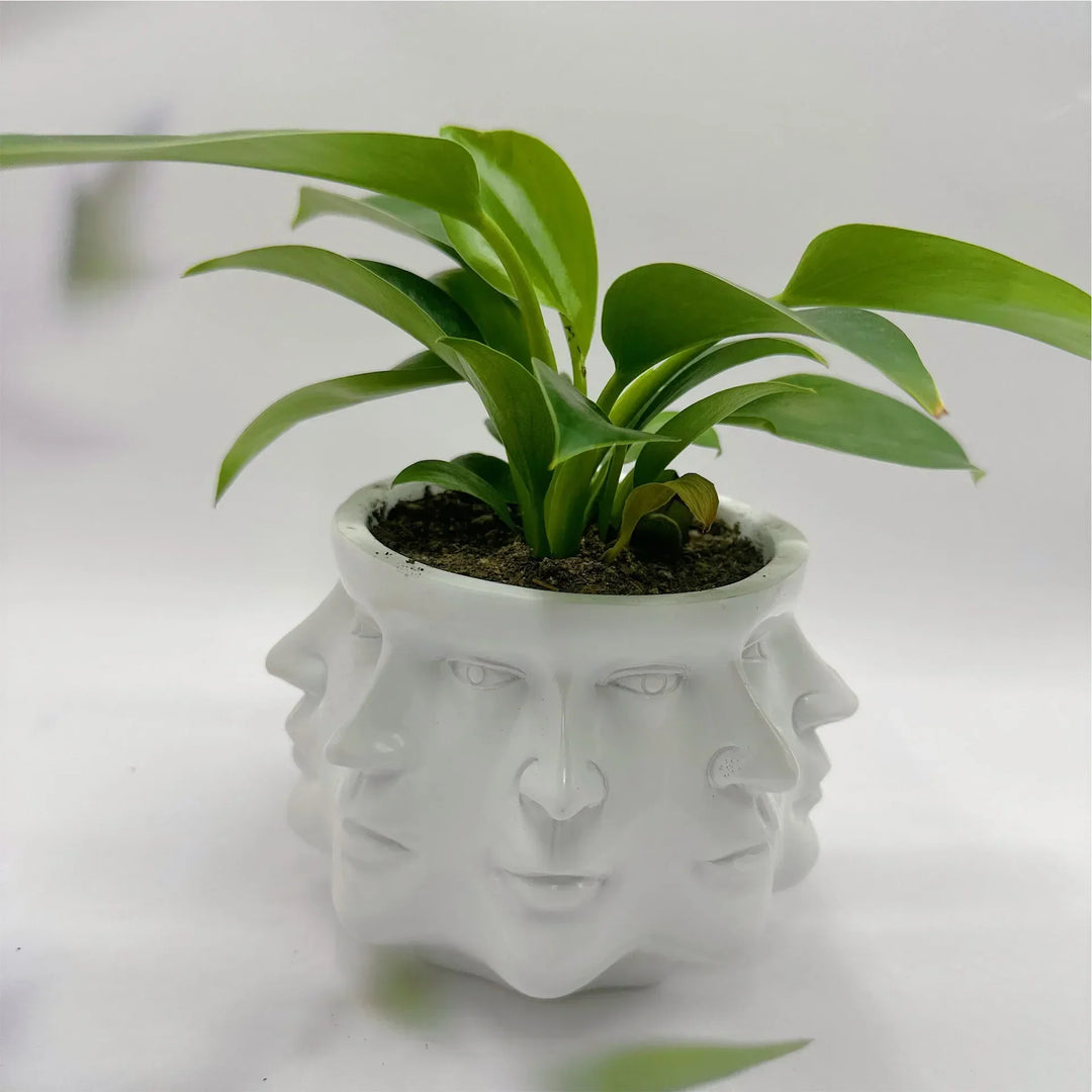 Weißer Blumentopf mit Gesichtern, Zimmerpflanze, modernes Design, Keramik, Dekoration