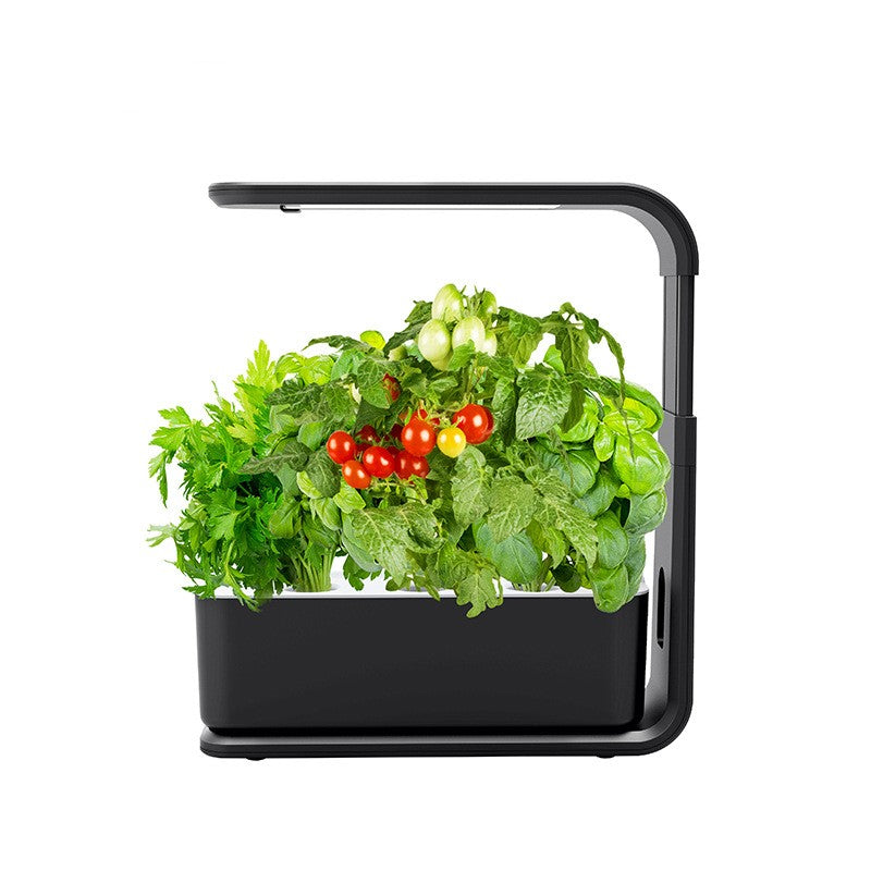 Schwarzer Indoor-Kräutergarten mit LED-Licht, frische Kräuter, Tomaten, Basilikum, Petersilie.