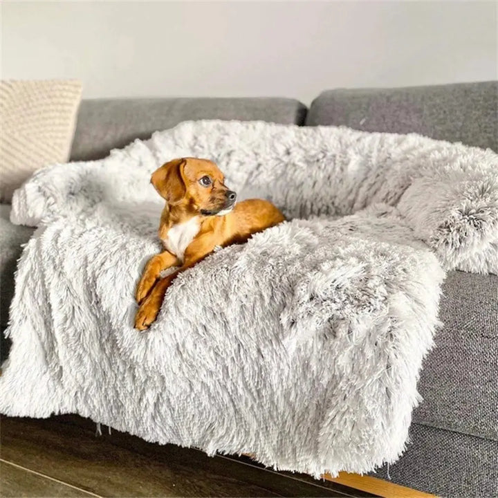 Kleiner Hund auf grauem, flauschigem Hundebett auf Sofa, gemütlich, Haustierkomfort.