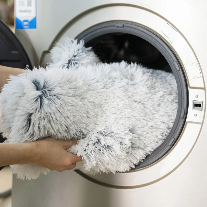 Person legt graues, flauschiges Hundebett in Waschmaschine, Haustierpflege, waschbares Hundezubehör.