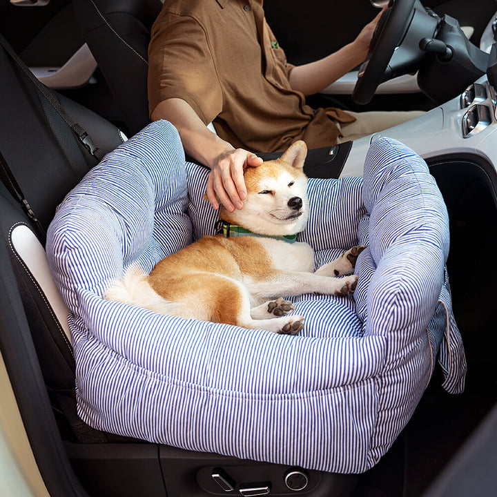 Hund in gestreiftem Haustierkissen im Auto, gemütlich, blau-weiß, bequem, Reisebett.