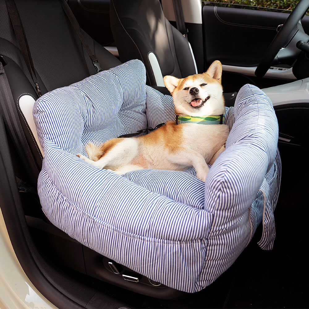 Hund auf gestreiftem Haustierkissen im Auto, gemütlich, blau-weiß, bequem, modisch.